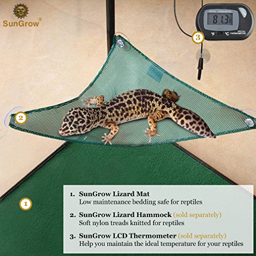 SunGrow, Reptile Mat, Terrarium Floor Liner, 30BR/40BR/50/65 Gallon, Substrate Carpet, Soft Bedding for Reptiles - Gecko, Lizard, Snake, Tortoise, Reptile Cage Tank Supplies & Accessories, Green, 1Pc