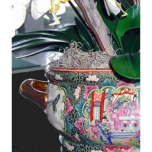 Mosser Lee Spanish Moss – Natural Decorative Moss for Houseplants, Soil Cover, Crafts, Terrariums & Floral Arrangements - 2.4 Cubic Foot - size: 2.4 cu. ft.
