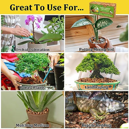 Riare 6 Pack Organic Coco Coir Chips for Plants, 6.6 lb Coconut Husk Bricks | Low EC & pH-Balanced Coco Husk Substrate with Drainage & Aeration, High-Expansion Mulch for Landscaping, Orchids & Soil Mix - size: 6 Pack