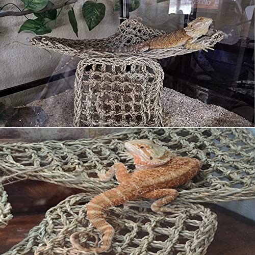 PINVNBY Hammock for Bearded Dragons,Lizard Lounger Reptile Natural Seagrass Habitat Decoration Reptiles Tank Accessories Jungle Climber Vines Flexible Leaves Climbing Decor for Gecko Chameleon(5 PCS)