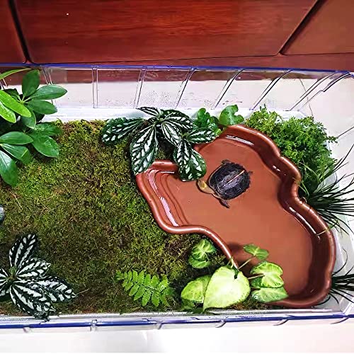 Extra Large Reptile Bathing Pool Reptile Feeding Dish Water Bowl with Ramp Aquarium Ornament for Gecko, Snake, Turtle, Bearded Dragon, Lizard Bath (Brown) - color: Brown
