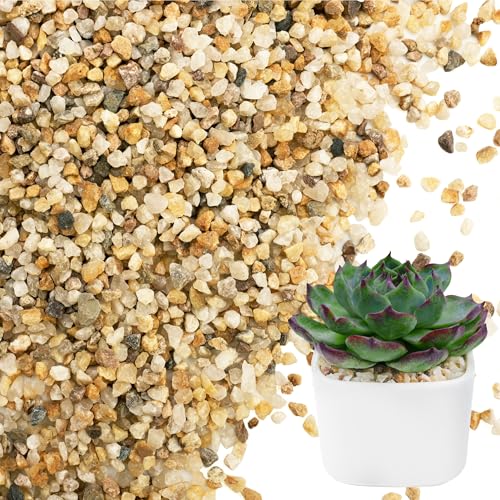 NUPICK 3-5mm Coarse Sand for Plants, 20lb Horticultural Sand for Succulents | Desert Silica Sand for Cactus, Decorative Gravel for Landscaping, Gold Horticultural Grit for Aquariums, Bonsai, Vases Filler - size: 3-5mm, style: 20lb
