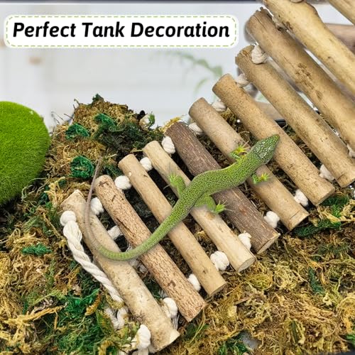 VCEPJH Reptile Bridge for Terrarium 2 Pack Wooden Bearded Dragon Climbing Ladder Hanging Flexible Swing Tank Deor Accessories for Gecko Hermit Crab Chameleons Turtle Lizard Frog