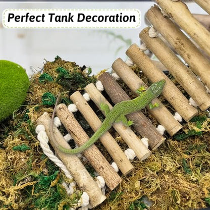 VCEPJH Reptile Bridge for Terrarium 2 Pack Wooden Bearded Dragon Climbing Ladder and Hammock Large Reptile Window Perch Seagrass Climbing for Bearded Dragon Chameleon Gecko Lizard