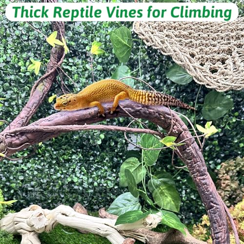 VCEPJH Loose Coconut Fiber Substrate 2 Pack Natural Coco Coir Reptile Bedding and Extra Large Reptile Vines Thick Terrarium Plants 78 Inches Long for Bearded Dragon Chameleon Gecko Lizard