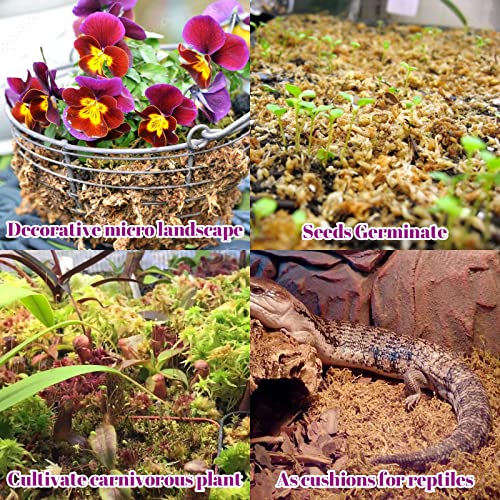 5.3OZ Sphagnum Moss for Plants - 6QT Natural Long Fibers Orchid Moss | Moisture Retention & Drainage Balance, Plant Moss for Orchids, Succulents, Carnivorous, Ferns, Reptile Bedding & Terrariums - size: 6 QT(5.3 oz)
