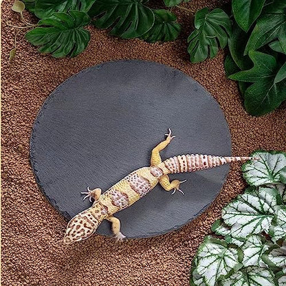 Reptile Basking Platform Rock Tortoise Habitat Slate Rock for Reptiles Food Dish Landscape Habitat Decor Accessories for Crested Gecko Lizard Bearded Dragon Turtle
