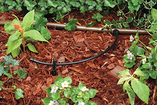 Rain Bird T22-100S Drip Distribution Tubing, 1/4" - size: 100' Roll (Pack of 1), style: Distribution Tubing