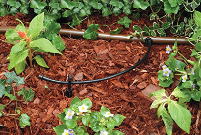 Rain Bird T22-100S Drip Distribution Tubing, 1/4" - size: 100' Roll (Pack of 1), style: Distribution Tubing