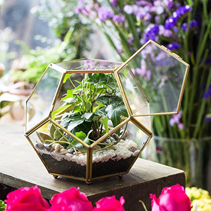 NCYP Glass Geometric Terrarium Planter with Door and Foot, Pentagon Ball Shape Glass Terrarium for Fern, Succulents, Small Plants, Gold, 6.8 x 6.8 x 5.9 inches (No Plants)