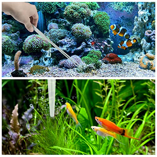 Fish Tank Cleaning Tools, 6 pcs Aquarium Cleaning Tools, Feeder Tools Kit, Aquarium Plants Cleaner, Algae Scraper for Glass Aquariums - color: Cleaning Tools 6pcs