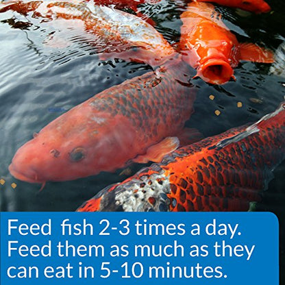 API POND COOL WATER FOOD Pond Fish Food 1.40-Pound Bag