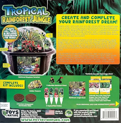 Toys by Biosphere Terrarium Starter Kit with Complete Supplies to Create Your Own Jungle! Indoor Plants for Home Displays and Gardens (Tropical Rainforest Jungle) - style: Tropical Rainforest Jungle