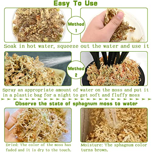 1.2LB Sphagnum Moss for Plants- 20QT Natural Long Fibers Orchid Moss | Moisture Retention & Drainage Balance, Plant Moss for Orchids, Succulents, Carnivorous, Ferns, Reptile Bedding & Terrariums - size: 20 QT(1.2 lb)