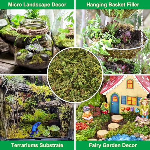 3.3LB Sphagnum Moss for Plants, 60QT Natural Long Fiber Orchid Moss | Drainage & Moisture Retention, Green Plant Moss for Orchid Repotting, Carnivorous, Succulents, Reptile Bedding & Terrariums - size: 3.3LB