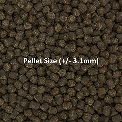 Ocean Nutrition Formula Two Pellets - Fish Food for Herbivorous & Omnivorous Marine Tropical Fish, High Protein(40%) - 7 oz (200 g) Medium Pellets - size: 7 Ounce (Pack of 1), style: Medium Pellet Size (+/- 3.1mm)