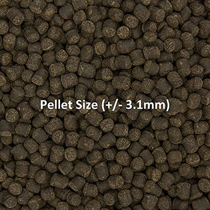 Ocean Nutrition Formula Two Pellets - Fish Food for Herbivorous & Omnivorous Marine Tropical Fish, High Protein(40%) - 7 oz (200 g) Medium Pellets - size: 7 Ounce (Pack of 1), style: Medium Pellet Size (+/- 3.1mm)