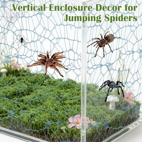 Jumping Spider Habitat Décor Jumping Spider Enclosure Accessory | 2PCS Spider Web, 1 Piece Faux Grass, 2PCS Natural Wood Ledge, 4PCS Strong Magnet for Small Reptile Enclosures