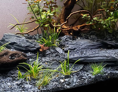 Natural Slate Stone 5 to 7 Inches - USA Sourced and Packaged for Aquascaping Aquariums, Terrariums, Paludariums, Reptile Enclosures, and Gardens (5lbs) - size: 5 lbs