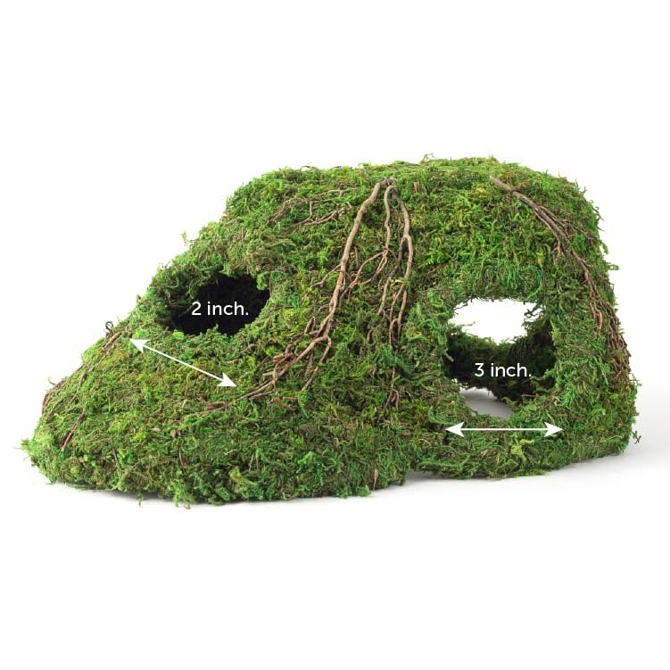 Galápagos (05370) Mossy Sapa Corner Hide - The Perfect Reptile Hide for Security and Comfort - A Natural and Secure Hide for Reptiles, Amphibians, and Invertebrates, L10” x W5.5” x H4.5”
