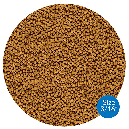 API POND FISH FOOD Pond Fish Food 2.68-Pound Bag - size: 2.68 Pound (Pack of 1)