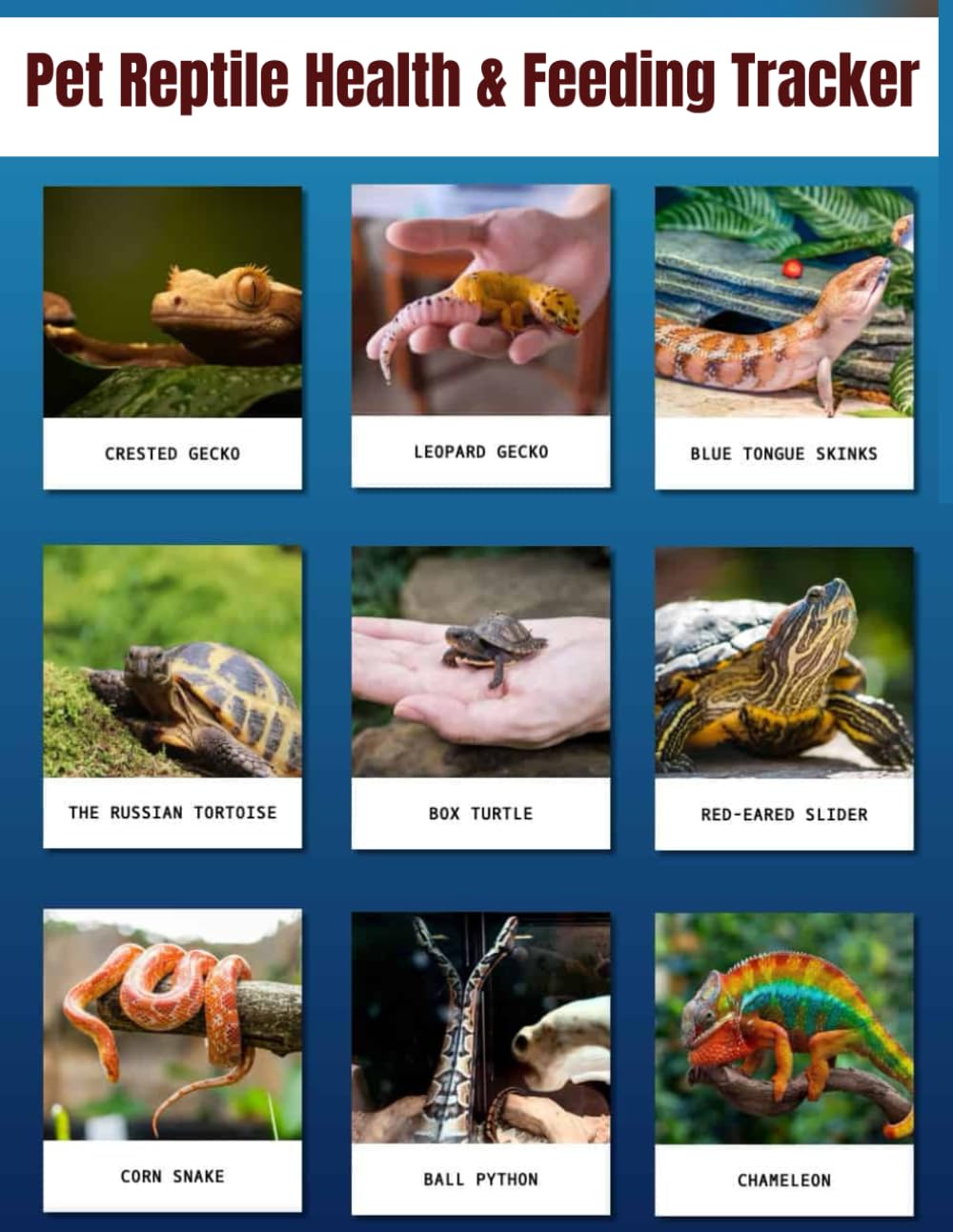 Pet Reptile Health & Feeding Tracker Logbook | Daily Journal for Lizards, Snakes & Turtles: Track Feeding, Temperature, Shedding, and Health Notes — ... Reptile Pet Owners and Breeders (120 Pages)