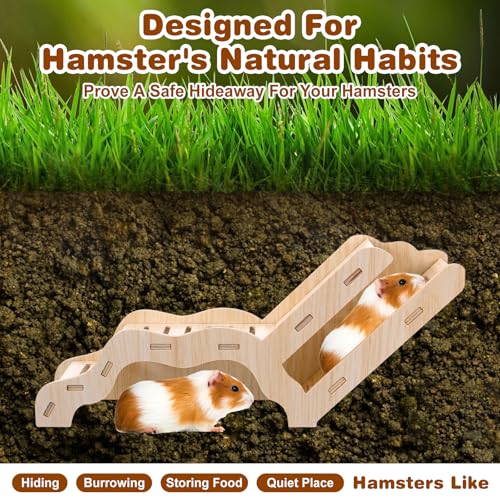 Versatile Hamster Hideout and Exploration Tunnel, Snap-Together Wooden Hamsters Tunnel Burrow with Panoramic Window Hamster Explorer for Gerbils Hamsters Small Pets Chew-Safe