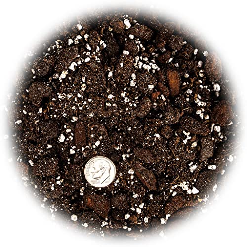 Professional Succulent Soil Premium All Purpose Blend | Pre-Mixed Ready to Use for Cactus and Succulents | Sphagnum Peat Moss, Perlite, New Zealand Pine Bark - Made in USA - 4 Quart - size: 4 Quart Bag, style: Professional Succulent Soil Blend