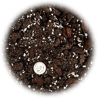 Professional Succulent Soil Premium All Purpose Blend | Pre-Mixed Ready to Use for Cactus and Succulents | Sphagnum Peat Moss, Perlite, New Zealand Pine Bark - Made in USA - 4 Quart - size: 4 Quart Bag, style: Professional Succulent Soil Blend