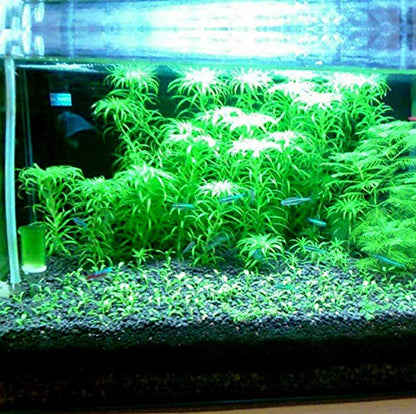 Hewnda 2 LB to Complete Freshwater Planted Aquarium Substrate | Aquatic plant cultivation medium