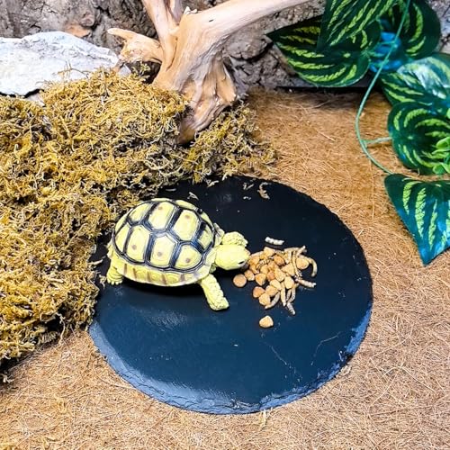 Tfwadmx Reptile Basking Platform,7.8IN Tortoise Rock Slate Plate Feeding Food Bowl Dish Turtle Bathing Resting Terrace for Lizard Bearded Dragon Chameleon Gecko Snake Frog Newt - size: 7.8inch(1pcs)