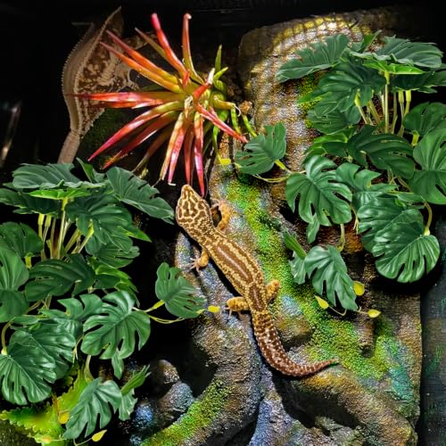 PINVNBY Crested Gecko Tank Accessories Terrarium Plants with Suction Cup Reptile & Amphibian Habitat Plants for Bearded Dragons Lizards Snake Tree Frog (Green Monstera, 2PCS) - color: Green Monstera