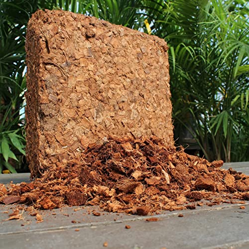 Coco Chips Mulch Brick (10lbs) - 100% Organic Mulch Medium for Garden Beds, Landscaping, & Outdoor Plants - Compressed Coconut Husk Chips - Retains Moisture in Potting Soil & Containers - color: Coco Chips (10lbs)