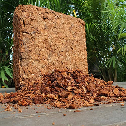 Coco Chips Mulch Brick (10lbs) - 100% Organic Mulch Medium for Garden Beds, Landscaping, & Outdoor Plants - Compressed Coconut Husk Chips - Retains Moisture in Potting Soil & Containers - color: Coco Chips (10lbs)
