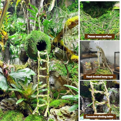 Moss Cave Hideout with Hanging Rope & Hemp Climbing Ladder – Natural Reptile Tank Decor Accessories for Crested Geckos, Chameleons, Tree Frogs, Leopard Geckos & Snakes. Terrarium & Vivarium Decor (4") - size: 4"