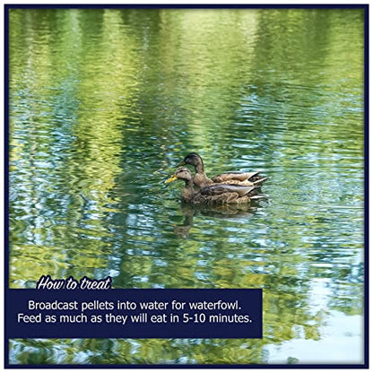 Natural Waterscapes Waterfowl Feed (5 lb) Floating Duck Food | for Wild Ducks, Pet Ducks, Geese, Swans