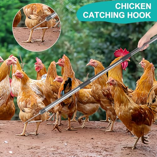 Chicken Catcher, Adjustable from 29" to 74" Chicken Net,Chicken Leg Hook | Animal Net Suitable for Catching Outdoor Animals such as Chickens, Ducks, Fishnet ,Geese ,Birds (15.3 x 23.2 inch net)