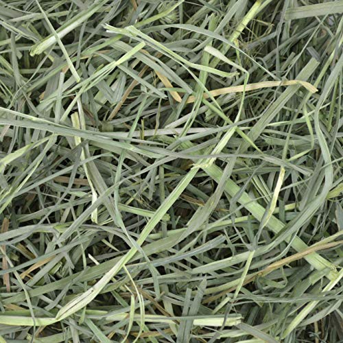 Oxbow Orchard Grass Hay, Rabbit & Guinea Pig Hay, High Fiber for Digestive Health, Grown in the USA, Veterinarian Recommended Small Pet Supplies, for Rabbits, Guinea Pigs, & Chinchillas, 15 oz. | Hand-Sorted, De-Dusted, Oxbow Orchard Grass Hay, Bunny Hay