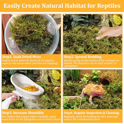 1.3LB Natural Sphagnum Moss for Reptile Terrarium Substrate Bedding | 24QT High Expansion, Moisture Retention, Helps Shedding, Long Fibers Dried Moss for Leopard Gecko, Snake, Frog, Turtle - size: 1.3LB
