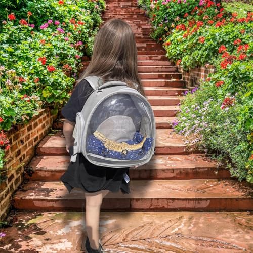 Bearded Dragon Carrier Backpack with Mommy Harness Set, Reptile Lizard Travel Carrier (Black, Mommy Harness) - color: Black