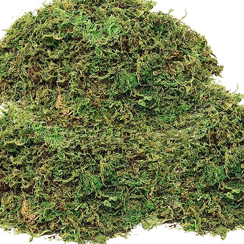 19 OZ Fake Moss for Potted Plants, Artificial Moss for Crafts, Faux Green Moss for Decorative Fake Plants