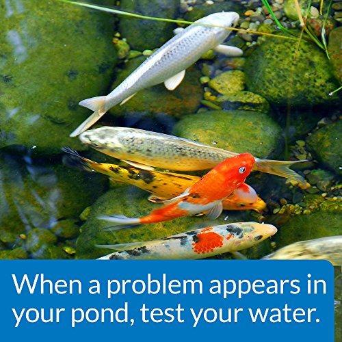 API POND MASTER TEST KIT Pond Water Test Kit 500-Test - style: Pond