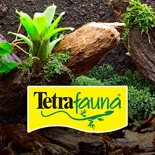 Tetra ReptoTreat Gammarus 0.35 Ounce, Shrimp Treat for Aquatic Turtles, Newts and Frogs,100% Shrimp (Pack of 3) - size: 0.35 Ounce (Pack of 3)