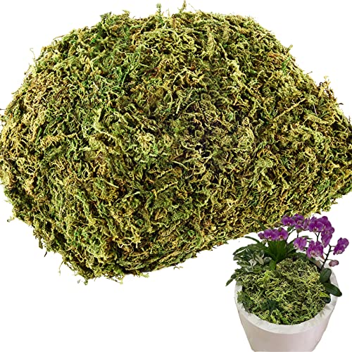 4.1OZ Fake Moss for Potted Plants and Fake Plants - Artificial Moss for Planters and Home Decor