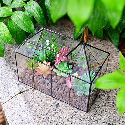 Large Glass Terrarium House Planter – Succulent Plant Glass Greenhouse with lid 9.8"X7.9"X5.9" NA