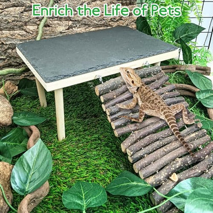 BNOSDM Basking Rock Platform with Climbing Ramp Reptiles Hideout Bearded Dragon Hide Cave Reptile Tank Accessories Suit for Tortoise, Lizard, Toad, Gecko (Large)