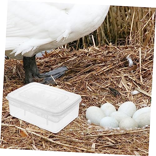 Toyvian 2pcs Reptile Hatchery Box Compartments Incubation Tray for Lizard and Tortoise Eggs Durable Transparent Easy to Clean and Organize Reusable Breeding Tool