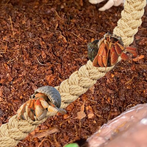 kathson 2 PCS 26 Inches Hermit Crab Climbing Toys,Reptile Vines Toy Hermit Crab Rope Ladder Bendable Hermit Crab Supplies Tank Terrarium Accessories for Hermit Crabs Lizards Leopard Geckos - color: 【Color：Khaki】