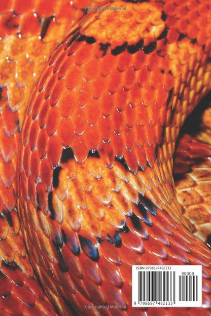 CORN SNAKE CARE RECORD BOOK: Complete Pet Profile, Vet Visits, Vaccinations, Food, Cleaning... | Medical/Health Journal | Gifts for Reptile Lovers.