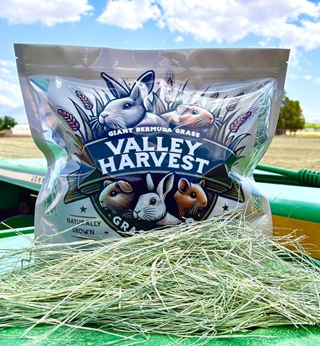 Grass Hay – Nutritious Feed for Rabbits, Guinea Pigs, Chinchillas, Tortoises & Hamsters – Natural Snack & Daily Feed for Small Pets